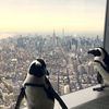 Video: These Penguins Are So High